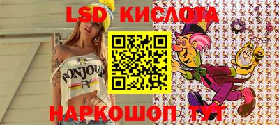 крисы Кунгур