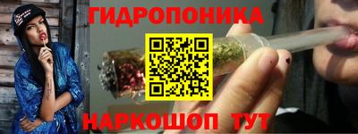 крисы Кунгур