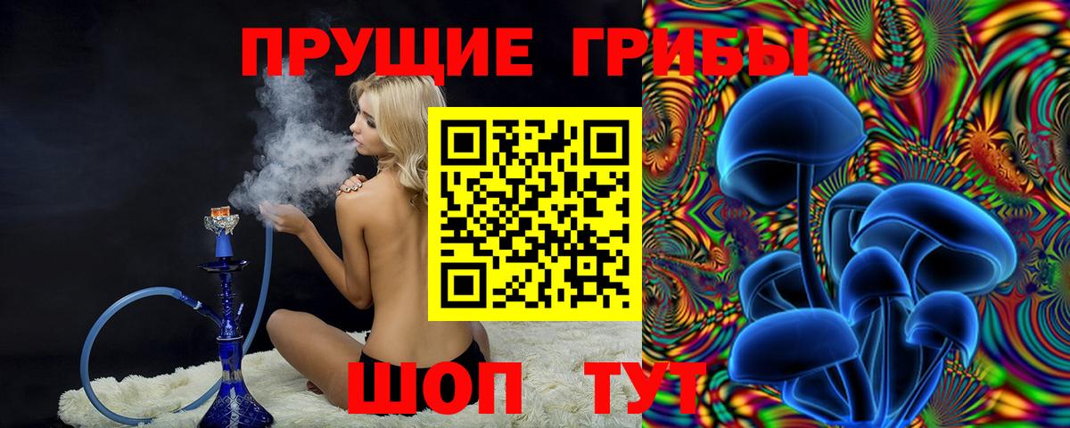 Псилоцибиновые грибы MAGIC MUSHROOMS Кимовск