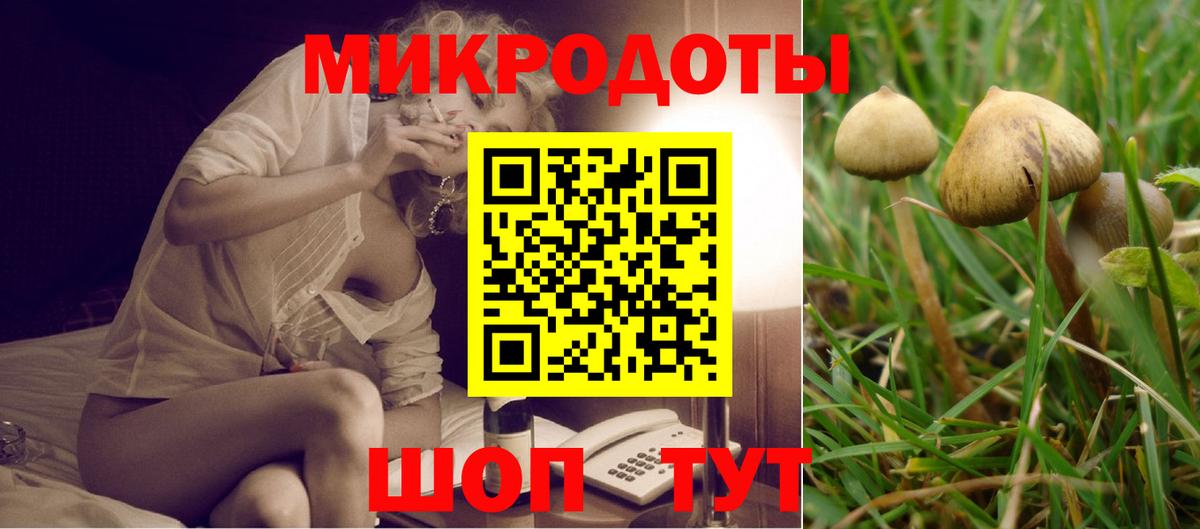 Кимовск  Псилоцибиновые грибы мухоморы  Псилоцибиновые грибы мицелий  Вход с VPN 