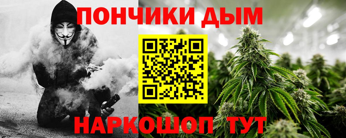 Конопля сатива Кимовск